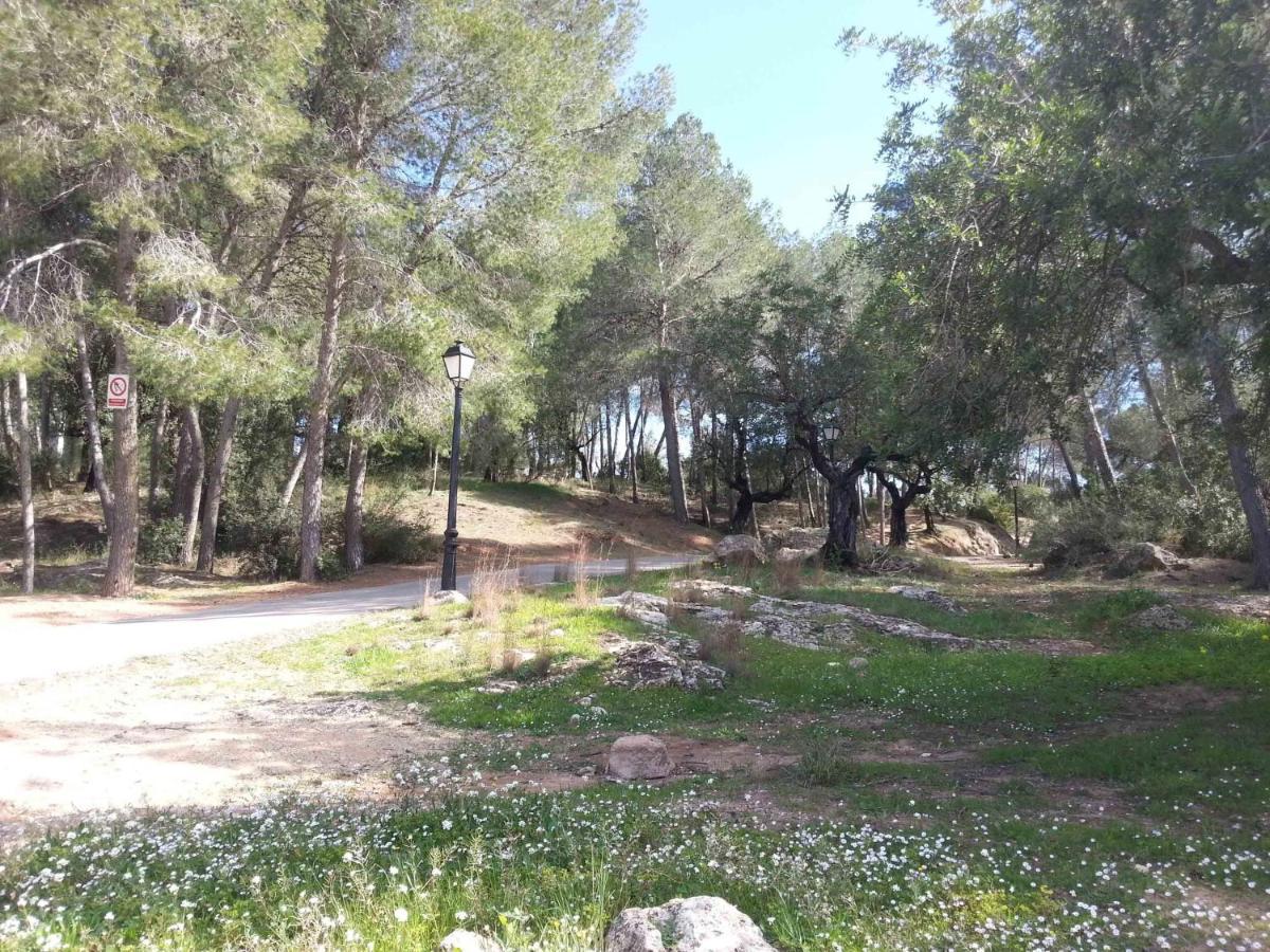 Villa Conchin Casa Junto A Parque Natural Alberic Экстерьер фото